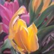 Barby's Tulips