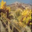 Cottonwood Springs